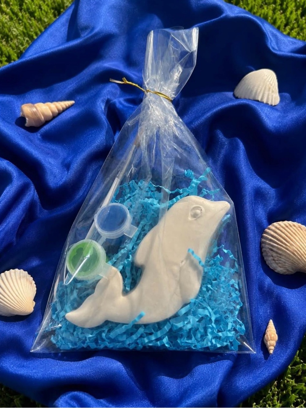Beach paining kit